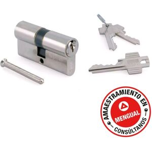 Cilindro de alta seguridad Nickel Tesa Assa Abloy - 30x60mm - 5030 Cilindro de alta seguridad Nickel Tesa Assa Abloy - 30x60mm - 5030