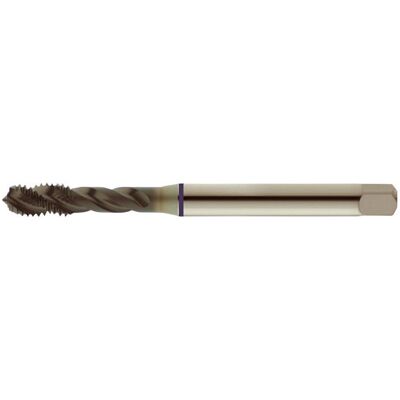 Taraud M10 HSS-E - DIN 371 C, paso 1,5 mm, 100 mm de longitud Taraud M10 HSS-E - DIN 371 C, paso 1,5 mm, 100 mm de longitud
