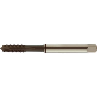 Tapa de roscar M10 x 1,5 mm - Agujero pasante - Revestimiento TiAlN Tapa de roscar M10 x 1,5 mm - Agujero pasante - Revestimiento TiAlN