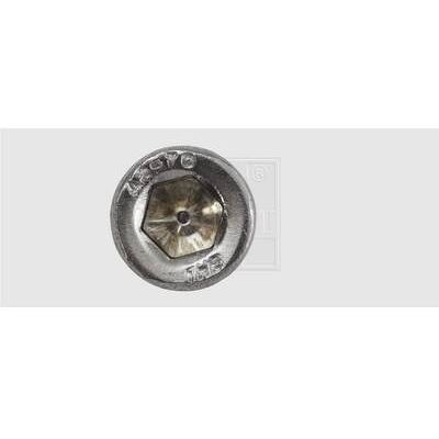 SWG 9462567 Tornillo con cabeza hexagonal interna M6 25mm - Tornillo SWG 9462567 Tornillo con cabeza hexagonal interna M6 25mm - Tornillo