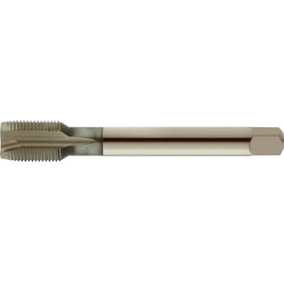 Forum Macho De Roscar De Roscar Mecánico Para Agujero Pasante, Rosca Métrica Sin Revestimiento, Rosca : M12 X 1,5, Longitud. Total 100 Mm, Ø Cola 9,0 Mm Forum Macho De Roscar De Roscar Mecánico Para Agujero Pasante, Rosca Métrica Sin Revestimiento, Rosca : M12 X 1,5, Longitud. Total 100 Mm, Ø Cola 9,0 Mm