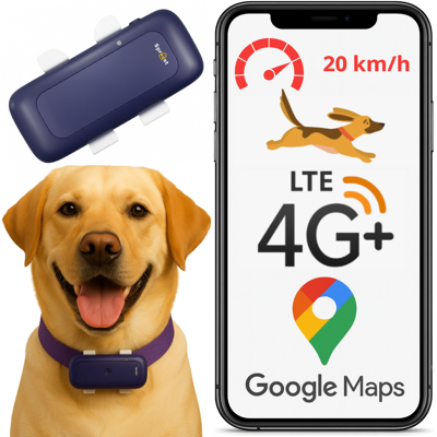 OEM Localizador Gps S26l 4g Morado OEM Localizador Gps S26l 4g Morado
