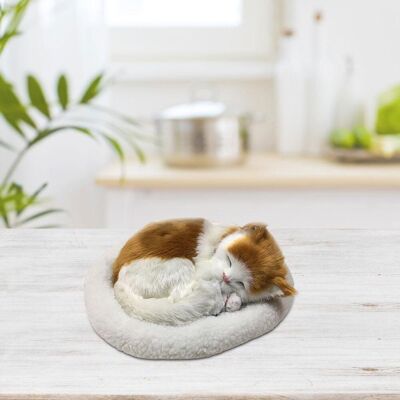 OEM Peluche Artificial De Gato Transpirable Con Almohada: Juguete Suave Para El Hogar, Con Fines Educativos Y Como Regalo. 1 Modelo De Gato Artificial. OEM Peluche Artificial De Gato Transpirable Con Almohada: Juguete Suave Para El Hogar, Con Fines Educativos Y Como Regalo. 1 Modelo De Gato Artificial.