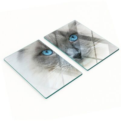 OEM Juego De Dos Tablas De Cocina De Cristal Con Dise帽o De Gato De Ojos Azules, 2x40x52 Cm. OEM Juego De Dos Tablas De Cocina De Cristal Con Dise帽o De Gato De Ojos Azules, 2x40x52 Cm.