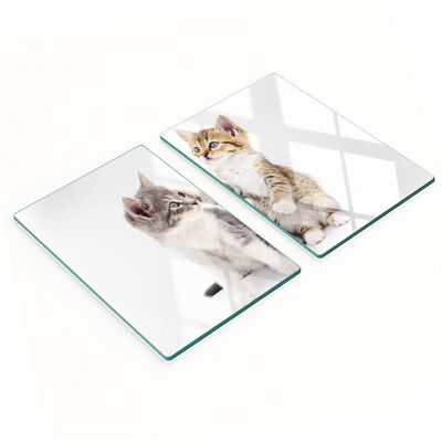 OEM Tablas De Servir De Cristal Para Cocina Con Dibujos De Dos Gatitos, 2x40x52 Cm. OEM Tablas De Servir De Cristal Para Cocina Con Dibujos De Dos Gatitos, 2x40x52 Cm.