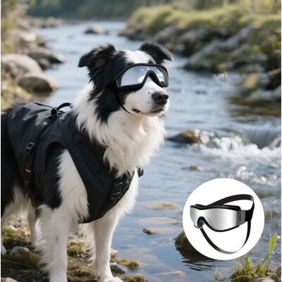 OEM Gafas Para Perros De Razas Grandes: Gafas De Sol Resistentes Al Viento Para Perros Medianos Y Grandes, Aptas Para Ciclismo, Color Negro, Talla L OEM Gafas Para Perros De Razas Grandes: Gafas De Sol Resistentes Al Viento Para Perros Medianos Y Grandes, Aptas Para Ciclismo, Color Negro, Talla L