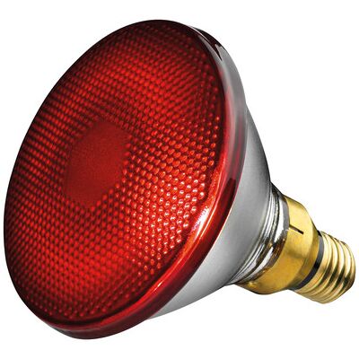 Beurer IL 21 150W Lámpara Infrarroja - Calefacción Infrarroja Beurer IL 21 150W Lámpara Infrarroja - Calefacción Infrarroja