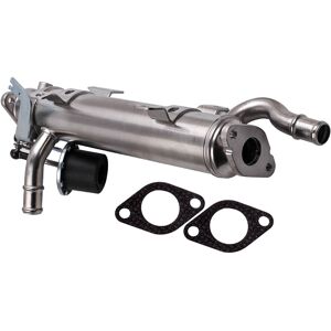 Bfo - Válvulas Egr Para Vw Golf V Vi Passat Tiguan Audi A3 Seat Leon 1p1 Skoda 2.0tdi Bfo - Válvulas Egr Para Vw Golf V Vi Passat Tiguan Audi A3 Seat Leon 1p1 Skoda 2.0tdi