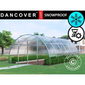 Dancover - Invernadero De Policarbonato Strong Nova 24m², 4x6m, Plateado Dancover - Invernadero De Policarbonato Strong Nova 24m², 4x6m, Plateado