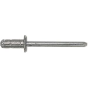 Gesipa - Remache Ciego Multifijación Alu Estándar Cabeza Semi-abombada 3,2x8mm (por 1000) Gesipa - Remache Ciego Multifijación Alu Estándar Cabeza Semi-abombada 3,2x8mm (por 1000)