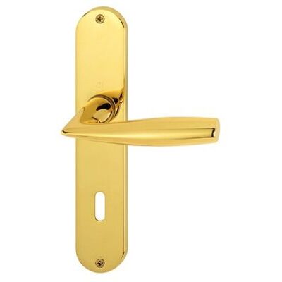 Conjunto de manijas de puerta de latón pulido Hoppe Vitória - Accesorios para puertas interiores Conjunto de manijas de puerta de latón pulido Hoppe Vitória - Accesorios para puertas interiores