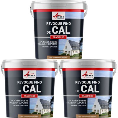 ARCANE INDUSTRIES Enlucido A Base De Cal Para Decoración Interior Y Exterior - Tradiplus ARCANE INDUSTRIES Enlucido A Base De Cal Para Decoración Interior Y Exterior - Tradiplus