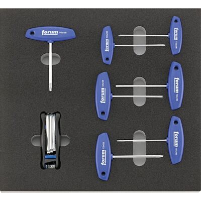 Forum Módulo 2017 2/3 Torx T Handle Forum Módulo 2017 2/3 Torx T Handle