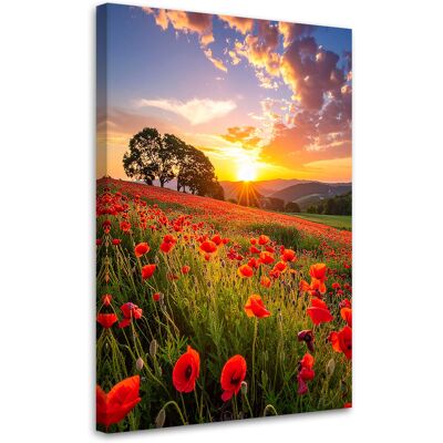FEEBY Cuadro Sobre Lienzo, Campo De Amapolas, Flores, Atardecer, 80x120 FEEBY Cuadro Sobre Lienzo, Campo De Amapolas, Flores, Atardecer, 80x120