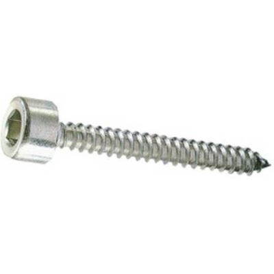 CAPALDO 5 X Vite P/ferro Autofilettante Tcei 4,8x 19mm Zincata CAPALDO 5 X Vite P/ferro Autofilettante Tcei 4,8x 19mm Zincata