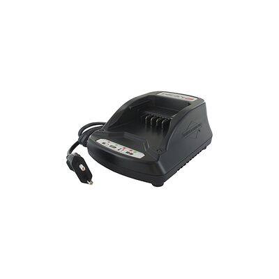 SANS MARQUE Cargador Bater铆a Briggs Et Stratton 593562 SANS MARQUE Cargador Bater铆a Briggs Et Stratton 593562
