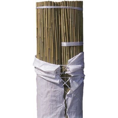 Soporte de plantas de bambú Faura - 240cm, 14-16mm, Natural Soporte de plantas de bambú Faura - 240cm, 14-16mm, Natural