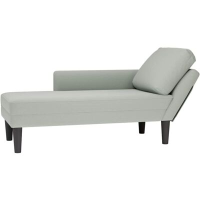 vidaXL Chaise Lounge de Terciopelo Gris Claro - Muebles de Descanso vidaXL Chaise Lounge de Terciopelo Gris Claro - Muebles de Descanso