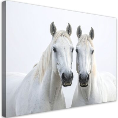 FEEBY Cuadro En Lienzo, Dos Caballos Blancos Animales Naturaleza, 100x70 FEEBY Cuadro En Lienzo, Dos Caballos Blancos Animales Naturaleza, 100x70
