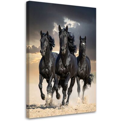 FEEBY Cuadro En Lienzo, Caballos Negros Galopando Naturaleza, 80x120 FEEBY Cuadro En Lienzo, Caballos Negros Galopando Naturaleza, 80x120