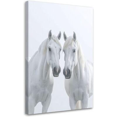 FEEBY Impresión De Imagen, Dos Caballos Blancos Animales Naturaleza, 80x120 FEEBY Impresión De Imagen, Dos Caballos Blancos Animales Naturaleza, 80x120