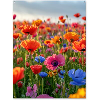ONLYWOW Póster De Jardín Flores - Amapolas - Colorido - Naturaleza 120x160 ONLYWOW Póster De Jardín Flores - Amapolas - Colorido - Naturaleza 120x160