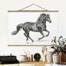 MICASIA Imagen de tela - Wild Horse Trial - Stallion - Apaisado 2:3 Dimensión LxA: 23.5cm x 35cm