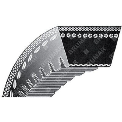 Correa En V Dentada Para Cortacésped Compatible Ariens - 012609 Correa En V Dentada Para Cortacésped Compatible Ariens - 012609
