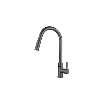 OEM Grifo De Cocina Inteligente Con Pantalla Táctil, Pantalla Digital, Extraíble, Gris. - Crezuo OEM Grifo De Cocina Inteligente Con Pantalla Táctil, Pantalla Digital, Extraíble, Gris. - Crezuo