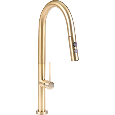 BELIANI Grifo De Cocina Con Brazo Oscilante Y Rociador Extraíble Con Muelle De Acero Inoxidable Con Acabado Cepillado Dorado Jujuy BELIANI Grifo De Cocina Con Brazo Oscilante Y Rociador Extraíble Con Muelle De Acero Inoxidable Con Acabado Cepillado Dorado Jujuy