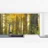 MICASIA Revestimiento pared cocina - Redwood National Park Dimensión LxA: 60cm x 210cm Material: Smart