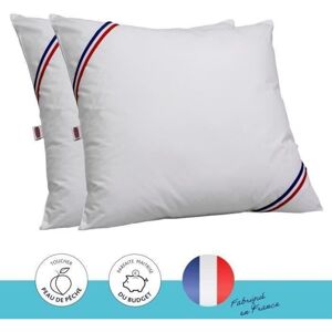 Les Tendances - Lote De 2 Almohadas Tendenza Dodo - 60 X 60 Cm - Relleno De 100% Poliéster Fibra Hueca Siliconada - Blanco Les Tendances - Lote De 2 Almohadas Tendenza Dodo - 60 X 60 Cm - Relleno De 100% Poliéster Fibra Hueca Siliconada - Blanco