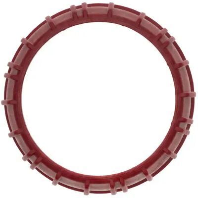 Brötje Tuerca Racor Para Campana De Filtro, 7313537 Brötje Tuerca Racor Para Campana De Filtro, 7313537