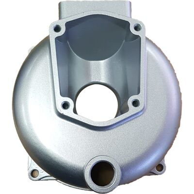 GENERICO Cuerpo Bomba Compatible Con Motobomba Sr50 Ref 976901 GENERICO Cuerpo Bomba Compatible Con Motobomba Sr50 Ref 976901