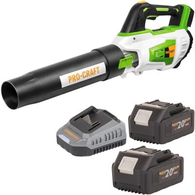 Soplador De Hojas A Batería Procraft Pb20 20 V Turbo + 2 Baterías De 4,0 Ah + Cargador Soplador De Hojas A Batería Procraft Pb20 20 V Turbo + 2 Baterías De 4,0 Ah + Cargador