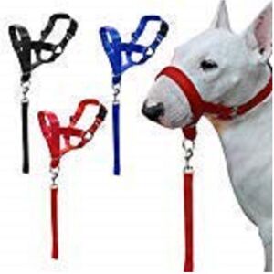 TRADE SHOP TRAESIO Trade Shop - Museruola Da Addestramento Cane Nylon Collare Cintura Regolabile Taglia S M L Resistente - TRADE SHOP TRAESIO Trade Shop - Museruola Da Addestramento Cane Nylon Collare Cintura Regolabile Taglia S M L Resistente -