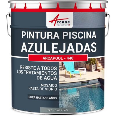 ARCANE INDUSTRIES Pintura Para Borde De Piscina, Para Azulejos De La Piscina - Arcapool - 440 ARCANE INDUSTRIES Pintura Para Borde De Piscina, Para Azulejos De La Piscina - Arcapool - 440