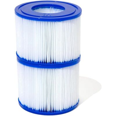 OEM Paquete De 2 Cartuchos Tipo Vi Adecuados Para Jacuzzis Inflables Lay-z-spa. OEM Paquete De 2 Cartuchos Tipo Vi Adecuados Para Jacuzzis Inflables Lay-z-spa.