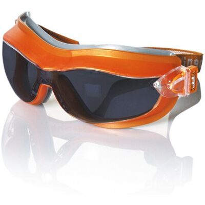 SEKURECO Gafas De Montura Universal Con Banda Facial Phoenix Ahumado SEKURECO Gafas De Montura Universal Con Banda Facial Phoenix Ahumado