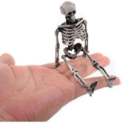 OEM Mini Esqueleto De Halloween, Disfraz De Esqueleto, Simulación De Calavera, Esqueleto Fantasma OEM Mini Esqueleto De Halloween, Disfraz De Esqueleto, Simulación De Calavera, Esqueleto Fantasma