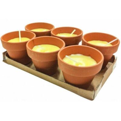 TRADE SHOP TRAESIO Trade Shop - Set 6 Pezzi Candela Alla Citronella Vaso Di Terracotta Coccio Anti Zanzare - TRADE SHOP TRAESIO Trade Shop - Set 6 Pezzi Candela Alla Citronella Vaso Di Terracotta Coccio Anti Zanzare -