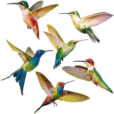 DPZO Pegatinas Anticolisión Para Ventanas (6 Unidades), Calcomanías De Colibríes Para Ventanas, Pegatinas Para Cristales, Adhesivos Anticolisión Para Ventanas Para Prevenir Colisiones Con Aves. DPZO Pegatinas Anticolisión Para Ventanas (6 Unidades), Calcomanías De Colibríes Para Ventanas, Pegatinas Para Cristales, Adhesivos Anticolisión Para Ventanas Para Prevenir Colisiones Con Aves.