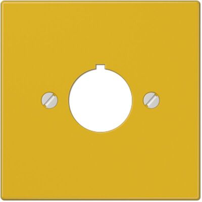 JUNG LS964GE Cubierta para aparato de control - Control Device Cover Plate JUNG LS964GE Cubierta para aparato de control - Control Device Cover Plate
