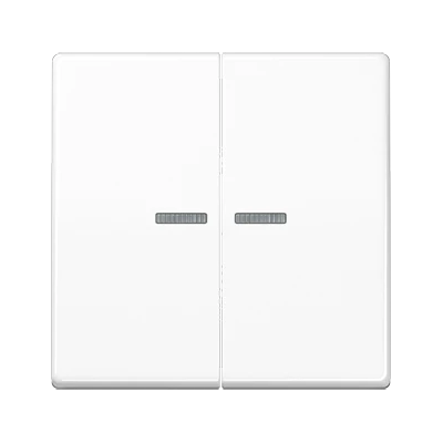 JUNG BTA17102WW Interruptor de Luz Inalámbrico 2 Ganchos - Automatización JUNG BTA17102WW Interruptor de Luz Inalámbrico 2 Ganchos - Automatización