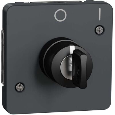Schneider Electric Mureva Styl Interruptor con llave 2 posiciones - Interruptor Schneider Electric Mureva Styl Interruptor con llave 2 posiciones - Interruptor