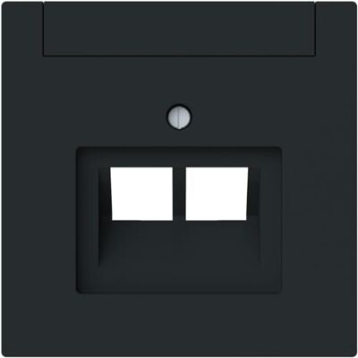 Busch-Jaeger - 1803-02-45M - 2-Gang - placa central - Electrical accessory Busch-Jaeger - 1803-02-45M - 2-Gang - placa central - Electrical accessory