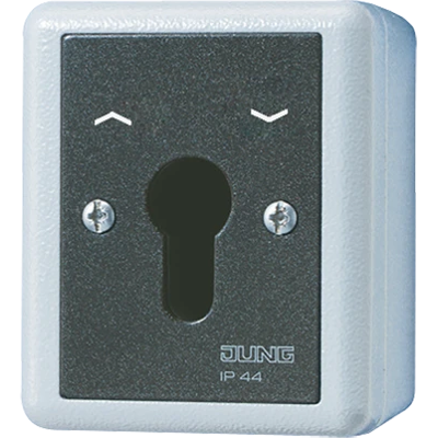 Jung 804.28 g interruptor con llave 2P - Switch Jung 804.28 g interruptor con llave 2P - Switch