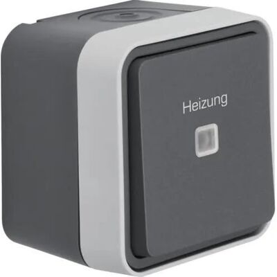 Berker 35663505 Interruptor De Control Gris Claro Berker 35663505 Interruptor De Control Gris Claro