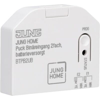 COCO Dispositivo De Control Jung Btps2b2u Doble Entrada Binaria COCO Dispositivo De Control Jung Btps2b2u Doble Entrada Binaria