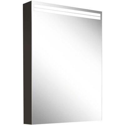 Armario con espejo LED Schneider ARANGALINE - Luz ajustable - 50x70cm Armario con espejo LED Schneider ARANGALINE - Luz ajustable - 50x70cm